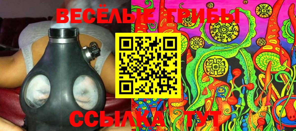 Тихорецк  Галлюциногенные грибы Psilocybine cubensis  Вход с VPN 