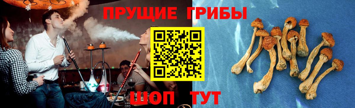 Псилоцибиновые грибы GOLDEN TEACHER Тихорецк